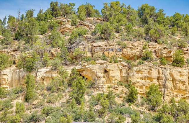 Dolores Townhome w/Mountain Views: Near River!