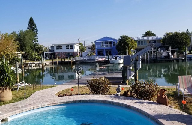 Dolphins and Manatees in Your Backyard!