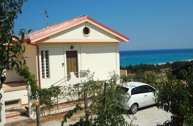 Domus Otiorum - Olive