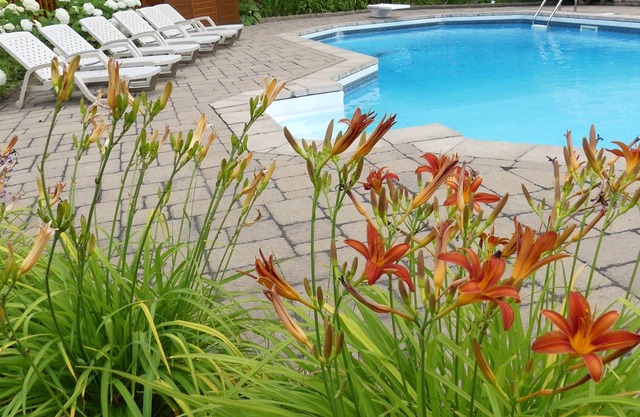 DOMAINE BONHEURA; A HAVEN OF PEACE SURROUNDED BY NATURE IN ABUNDANCE!