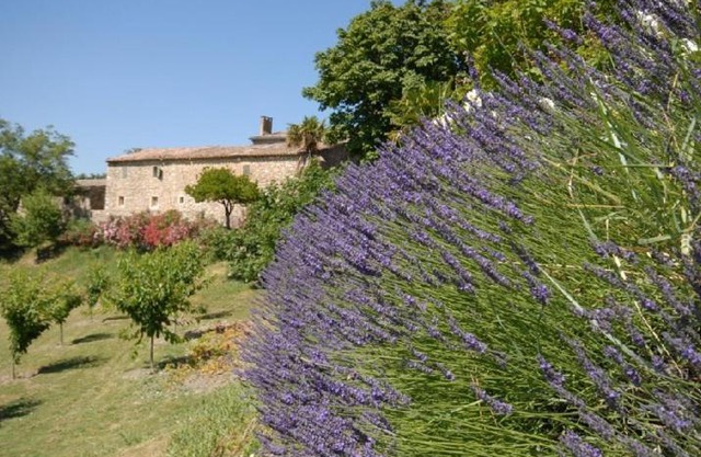 Domaine de Cousignac