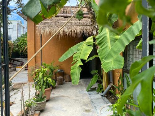 Domino Garden House