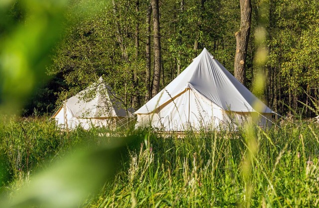 DOMO CAMP LOSHEIM AM SEE - MYMOLO Lodge for 2P near the Lake