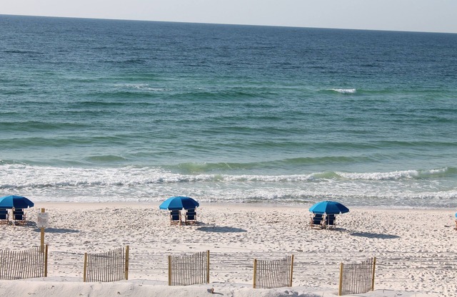 Don't miss the last holiday of the summer ! We have Labor Day open!