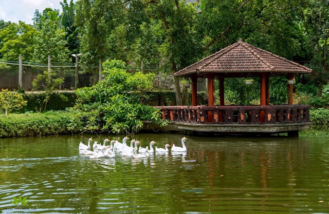 Dong Goi Eco Retreat