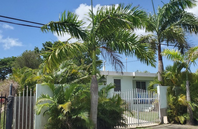 "Dos Coquis" - Walk to the Beach with this perfect island home away from home!