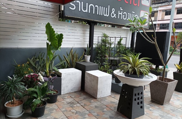 Double D Rooms & Cafe