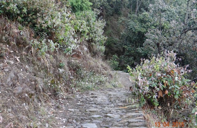Double Room @ Calm Cottages, Nathuakhan