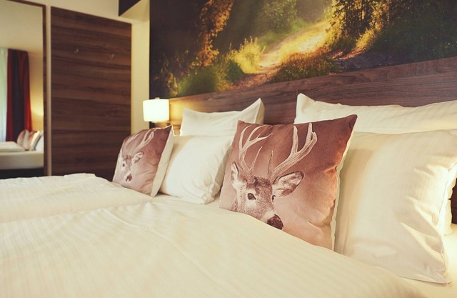 Double room comfort - Hotel Mein Bergblick