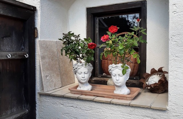 Double room for 2 guests with 25m² in Steingaden (121778)