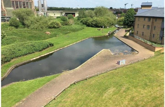 Double Room in a Top Floor Shared Apartment
