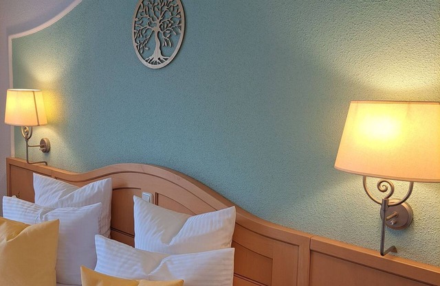Double room STANDART - Schedlers Löwenhotel Garni*