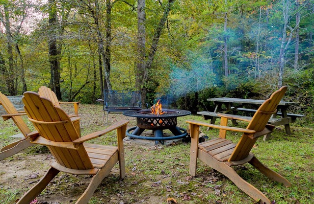 Down By The River - Remote Riverfront Cabin with Easy River access near Helen