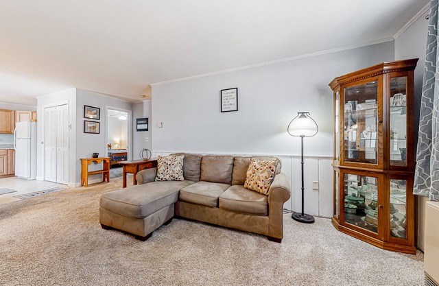 Downtown condo close to Saco River with streaming, AC, washer/dryer, kitchen
