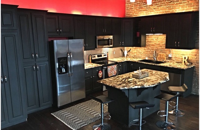 Downtown Court St Custom Loft Granite Hardwoods 20 ft ceilings stainless steel
