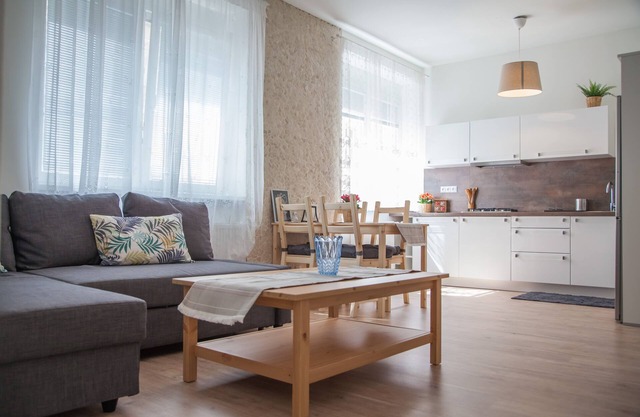Downtown pedestrian zone apartment