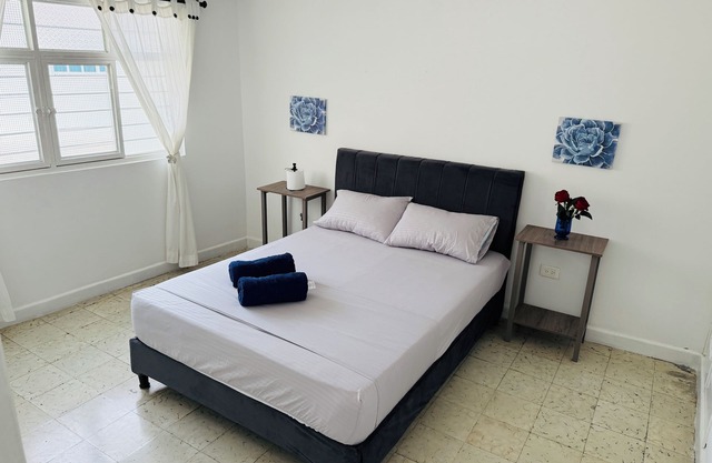 Downtown San Antonio Tourist Apartment 2