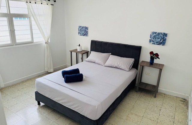 Downtown San Antonio Tourist Apartment 2