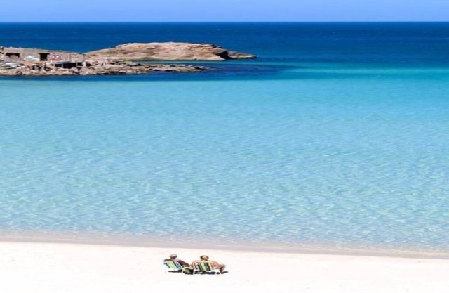 DREAM BEACHES 4 .