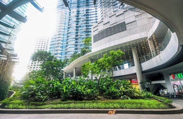 Dream Den: Comfy Beds Good Vibes Makati Gym Swim