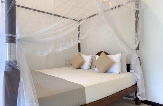 Dream Paradise - Weligama