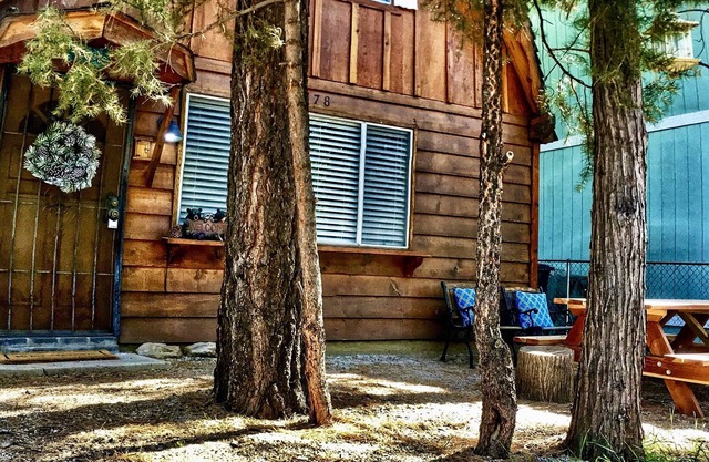Dream Under The Pines.