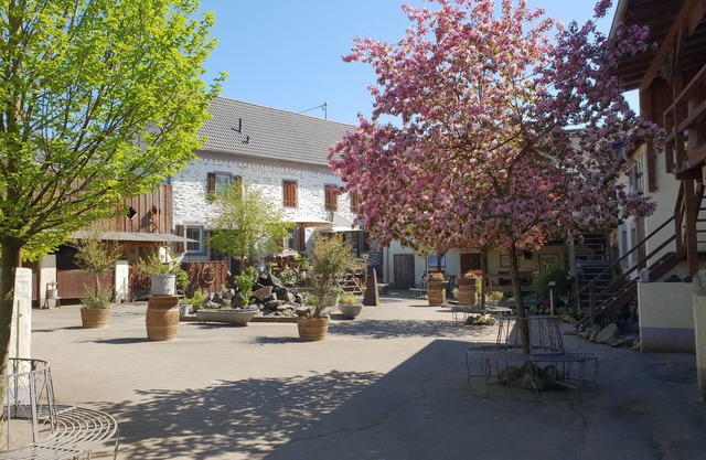 Dream vacation apartment on an idyllic farm near Eltz Castle