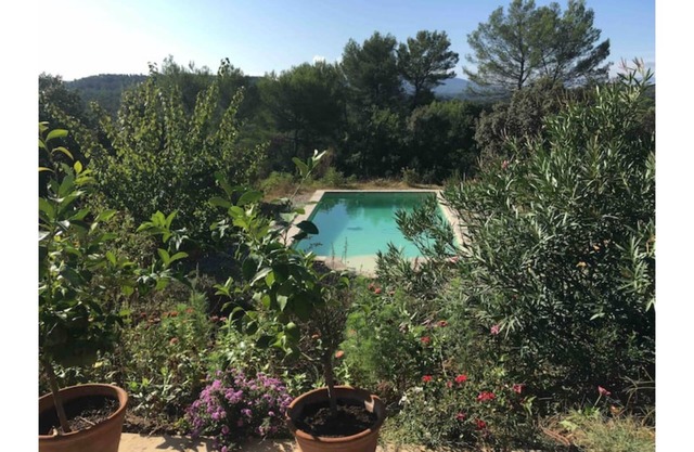 Dreaming in Provence among the olive trees, with a view of the Sainte Beaume mountain range