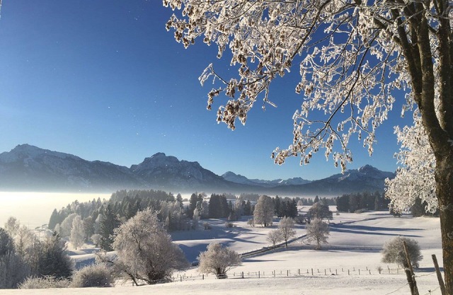 Dreamlike Allgäu vacation - relaxation between mountains, castles and lakes.
