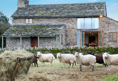 Drovers Rest Farm Stay