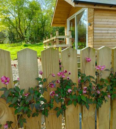 Dryw bach glamping hut