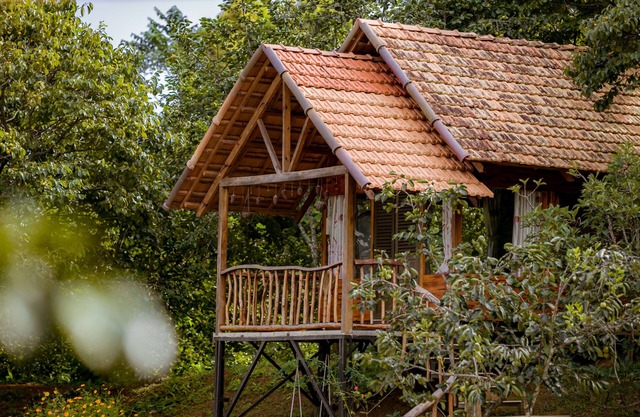 Du An Garden Retreat Forest