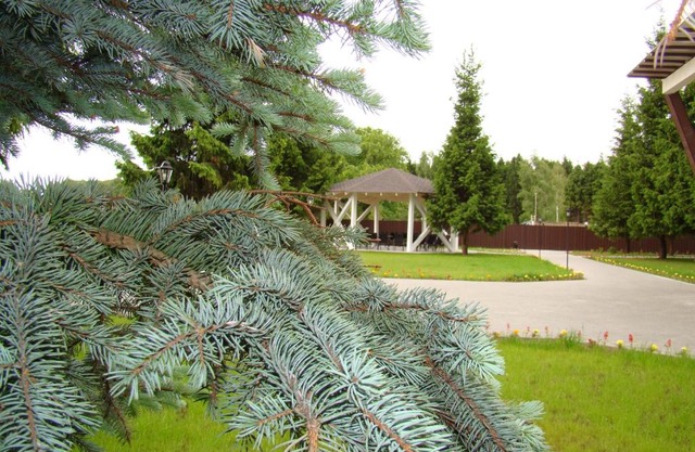 Dubki Hotel