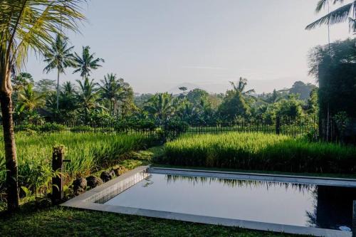 Dukuh Ubud Villa #4 Ricefield View