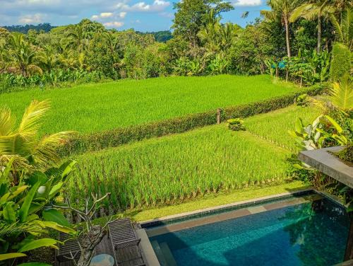 Dukuh Ubud Villa
