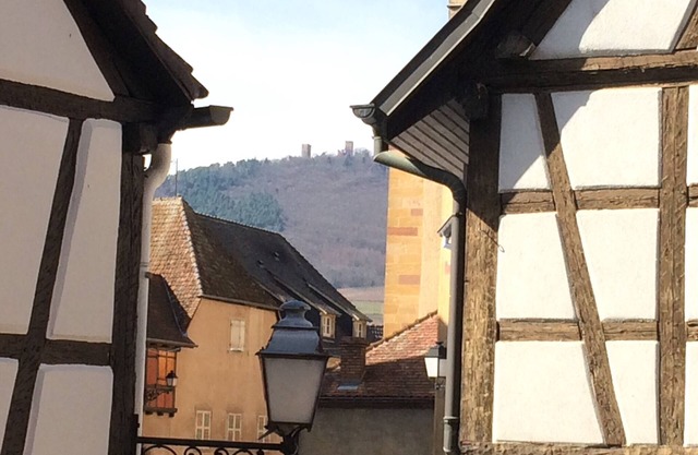 Duplex 60m2, in the heart of Eguisheim