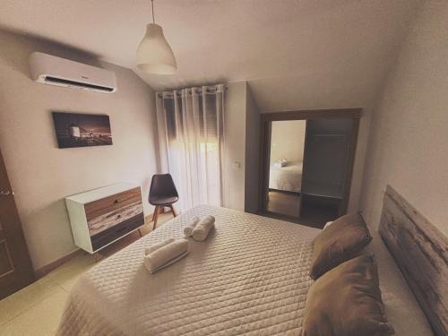 Duplex entre molinos Consuegra