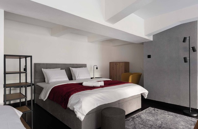 Duplex loft-apart with balcony