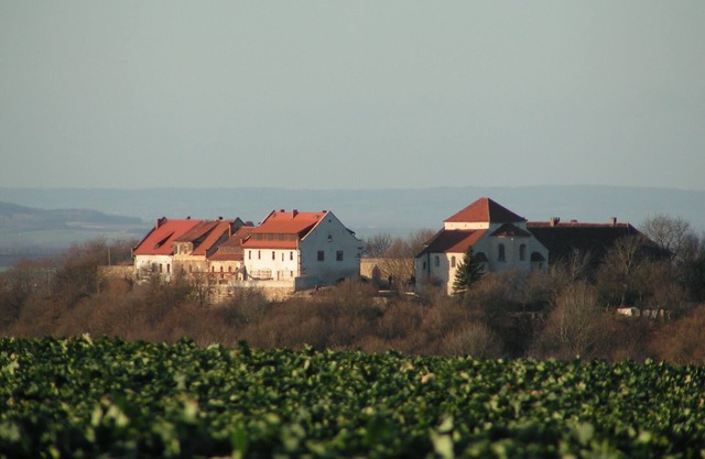 Exclusive apartment on the Konradsburg near Quedlinburg