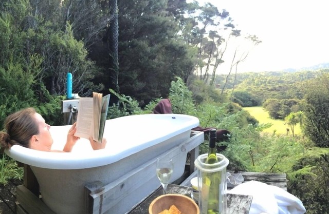 Eco-Bach inside a kiwi sanctuary