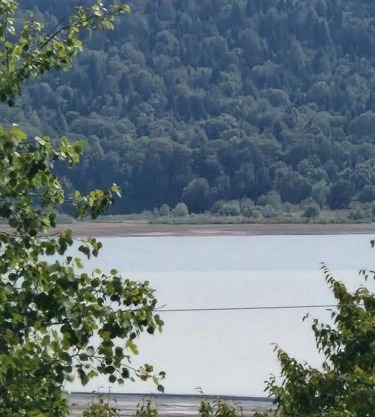 Eco Cottages Shaori Lake