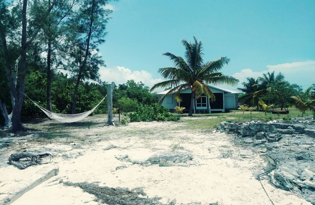 Eco Friendly home
