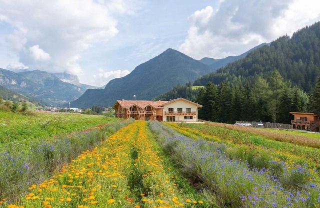 Eco-Green Fiores Agriturismo