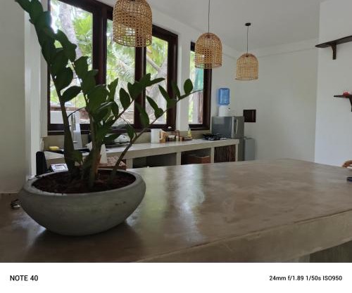 Eco Oasis villa