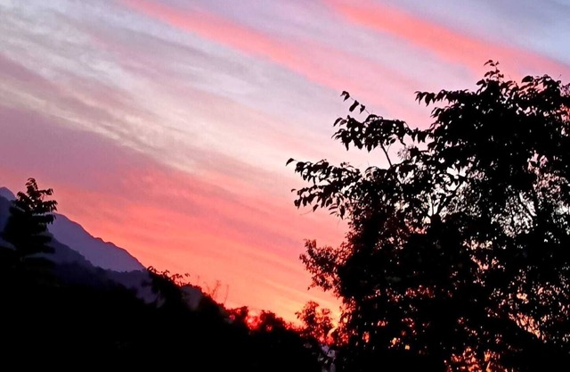 Eco Vibes, Bird Songs & Mountain Views — Book Your Stay in Minca!