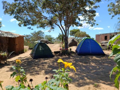 Ecocamping Okaeté
