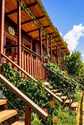 Ecodreamers Curiti