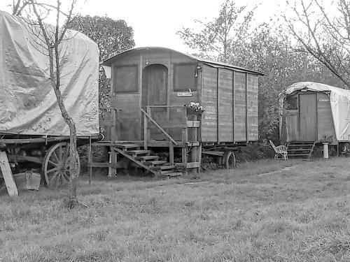Ecogarden camping with rooms