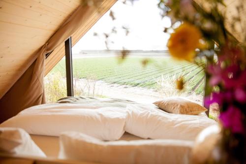 Ecohome Golf 8pers and baby Zeezand Recreatie