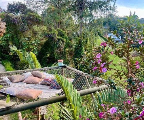 Ecohotel campestre Rionegro-A 20 minutos del aeropuerto